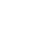 iWinks Logo
